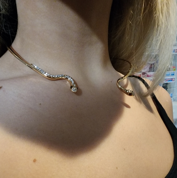 NWT Dolls Kill Sexy , Bad Ass 2 Headed Snake Necklace , - Picture 4 of 9